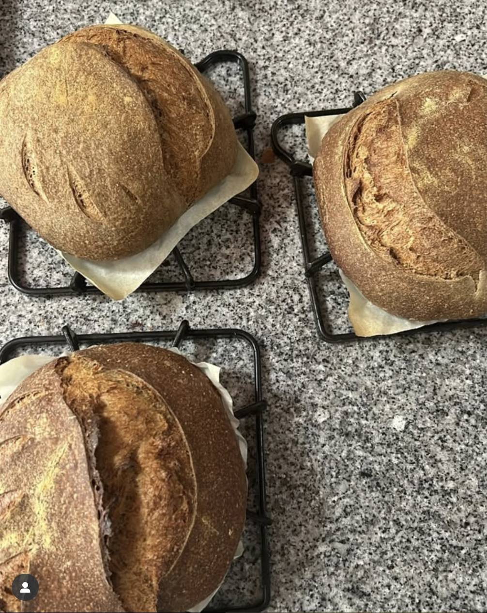 Hogazas de masa madre con harina de grillo de Griyum